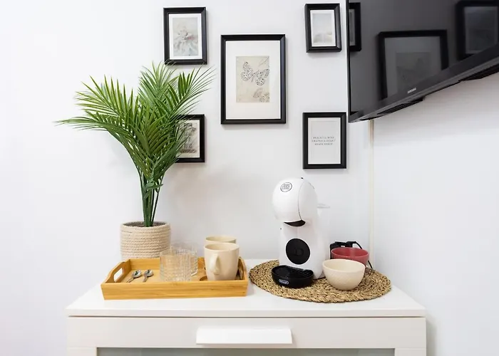 Eden 101 Surfy Stylish Bed&coffee Guest house